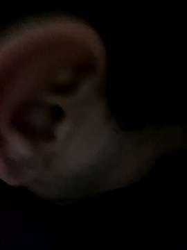 MACHODEALUGUELBH23cm nude on cam for live porn chat