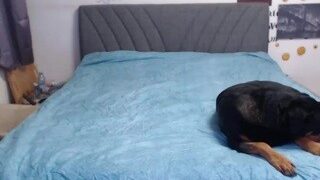 Directgirl (Ana) nude on Live Sex Chat