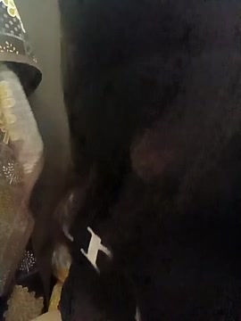 jannat100 nude on cam for live porn chat