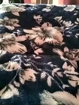 pariraj001 nude on webcam for live sex chat