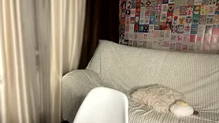 LanaHigg nude on webcam for live sex chat