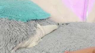 SofiaTorres1 fully nude on Live Sex Chat
