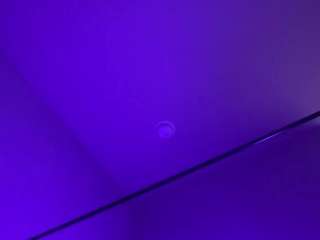 xoxohoneycat fully nude on Live Sex Chat