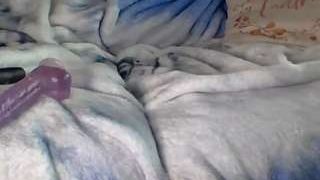 youlovemyahhh fully nude on Live Sex Chat