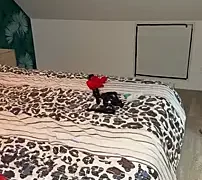 venustattoue nude on webcam for live sex chat